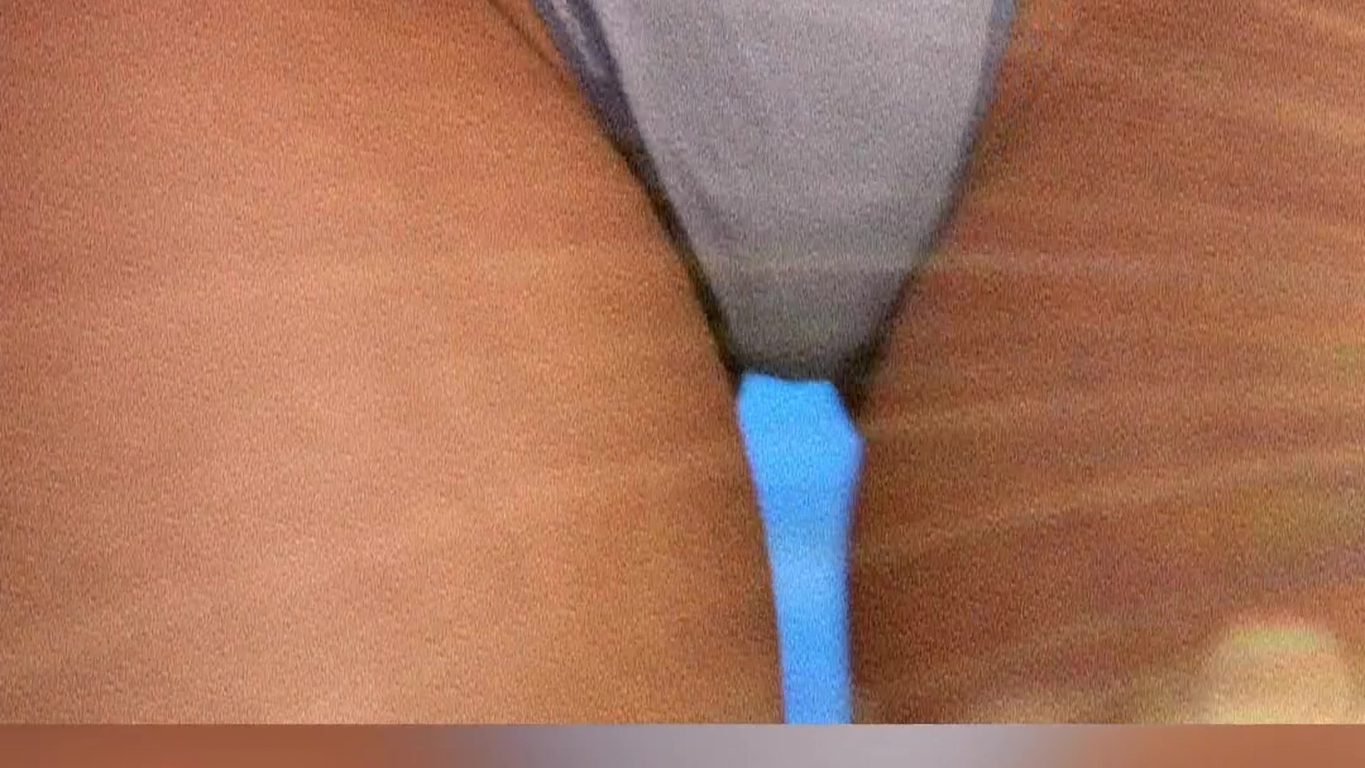 cutie pie huge ass danicooppss leaked tits pic Sensational