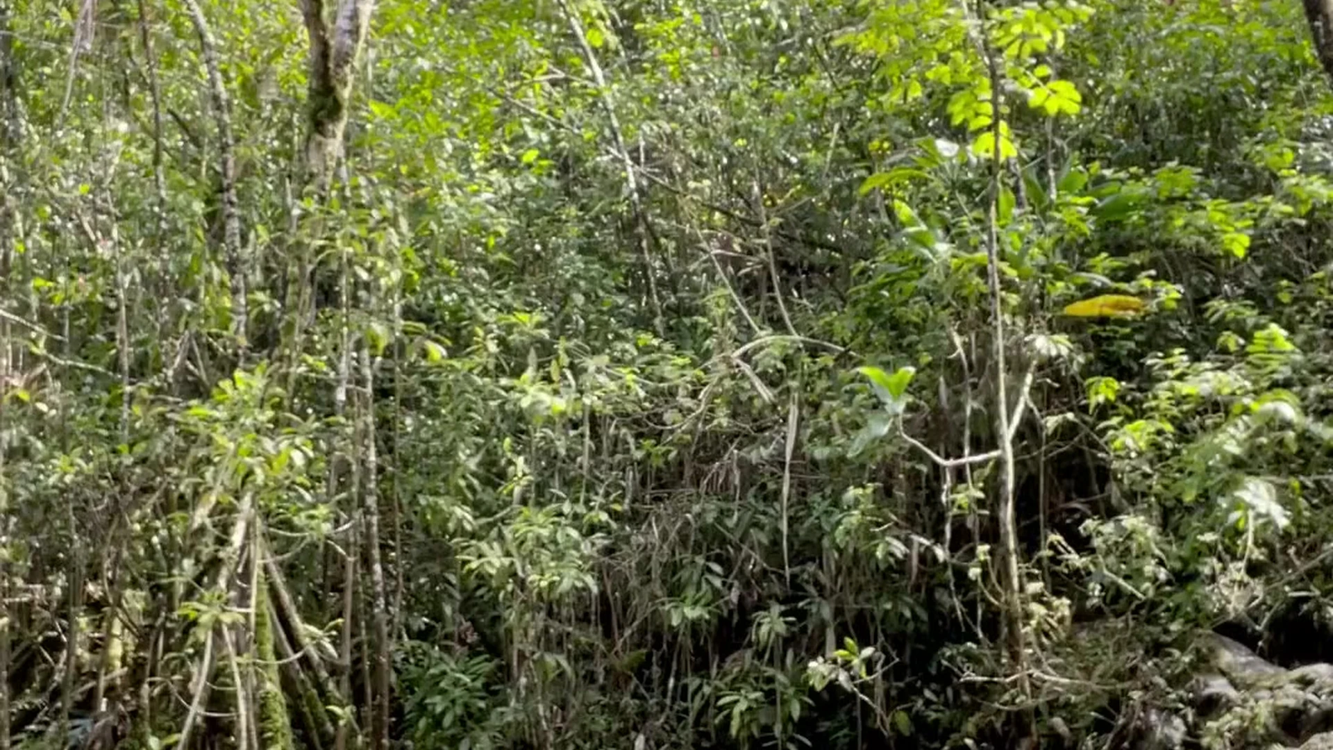 Exposed cutie slim Lily Ivy nude full video unreleased