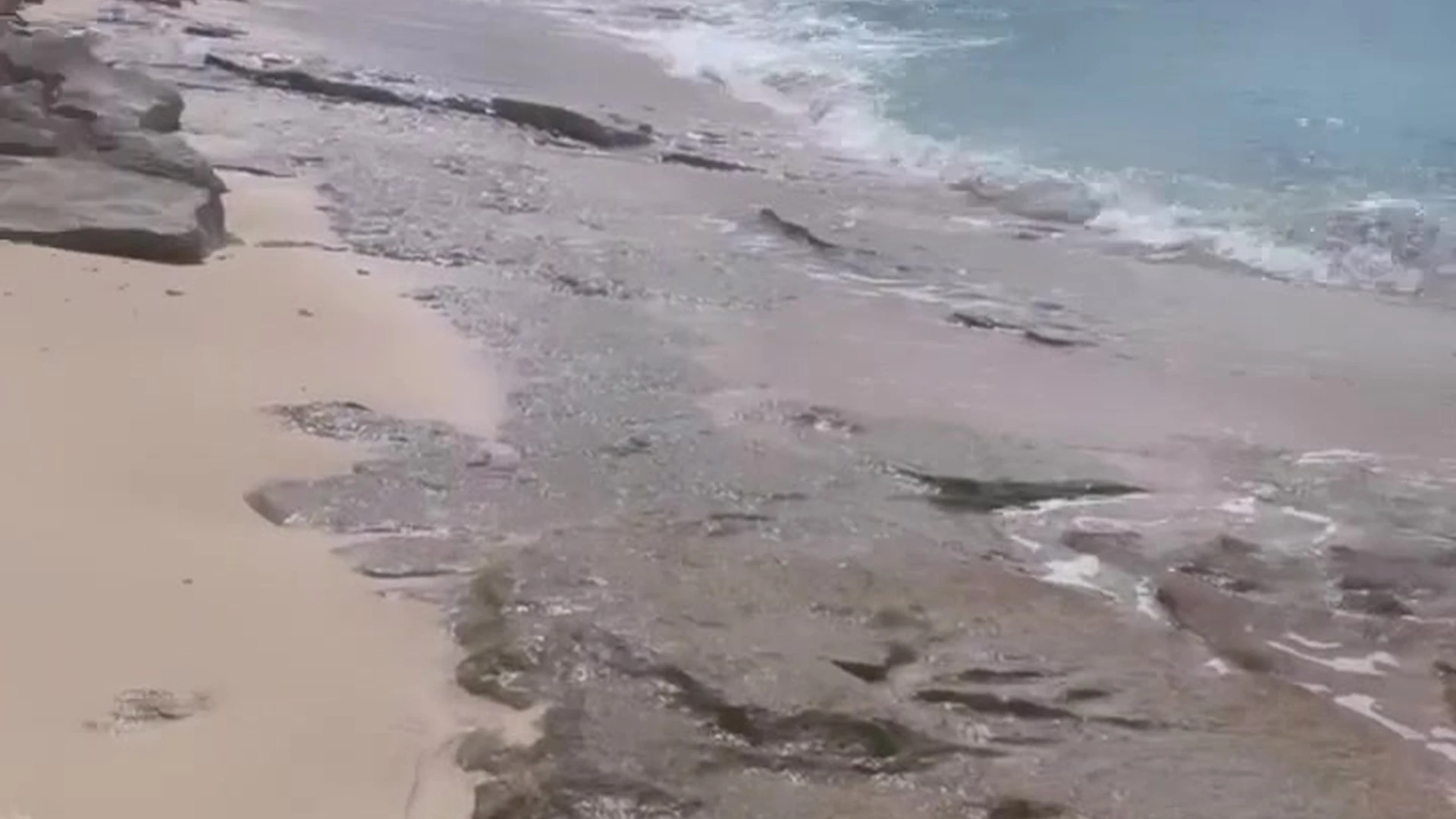 Sensational cutie pie natural boobs WoeAlexandra leaked pics