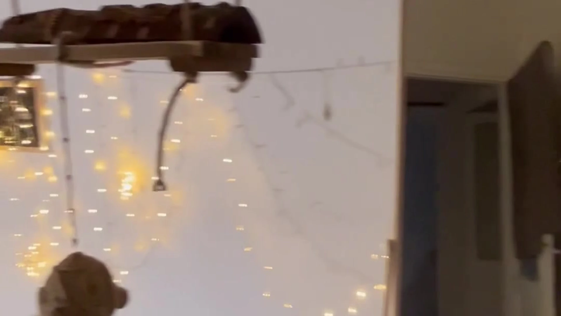 Epic small boobies Baby Riley joi