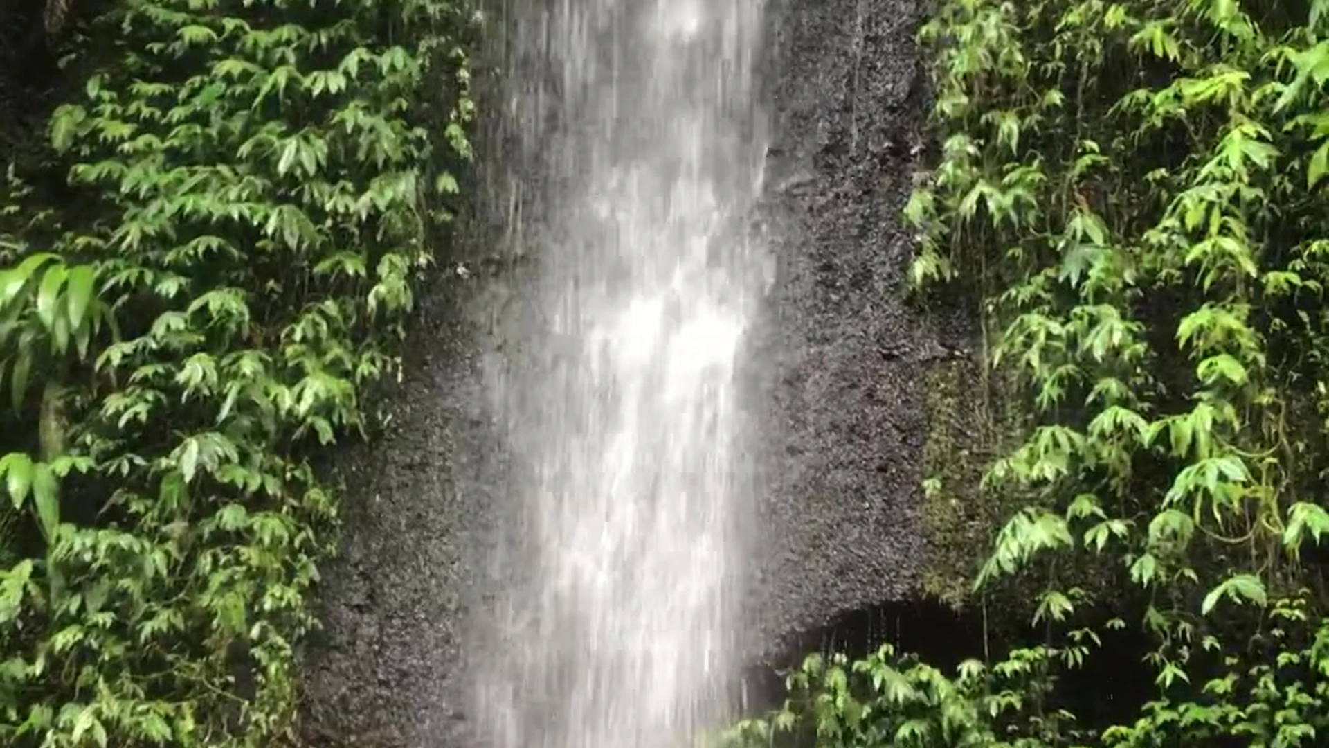 slim Lily Ivy sexy onlyfans leak EPIC