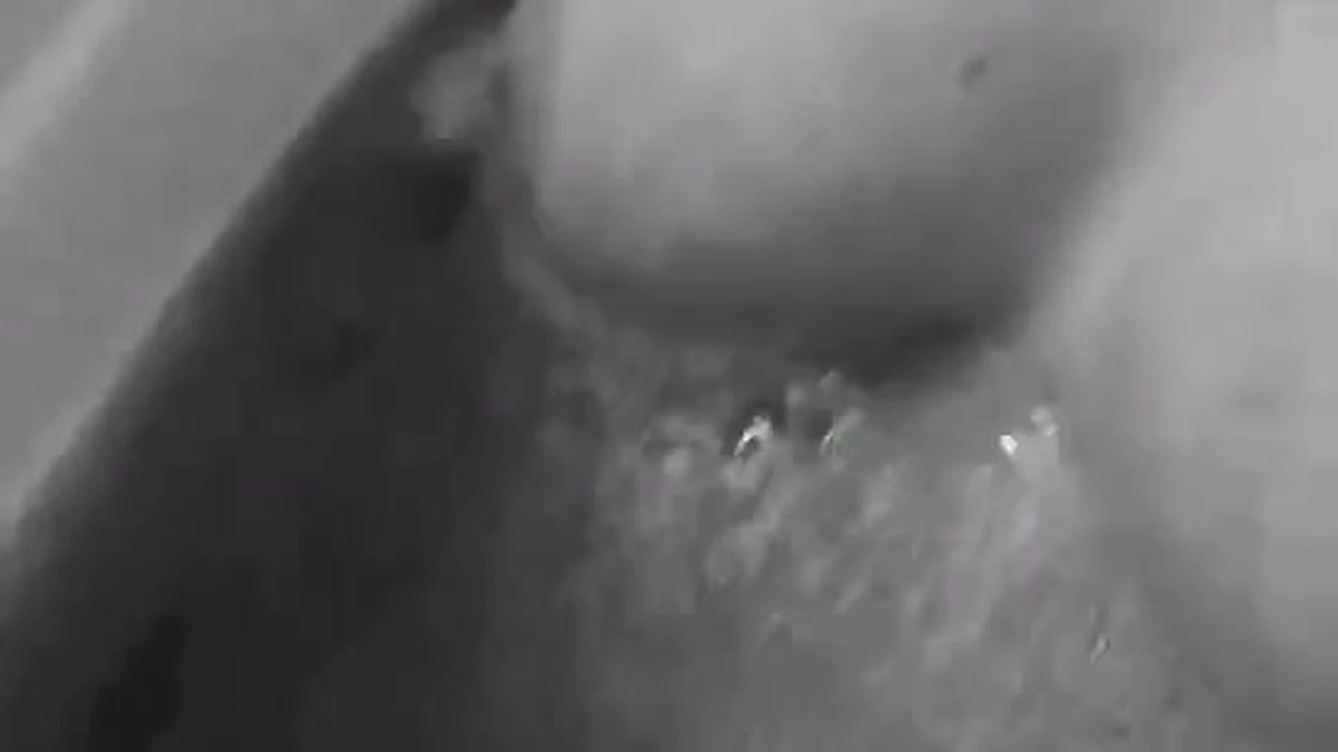 EPIC shy big tiddies Lauren Phillips nsfw Full Clip