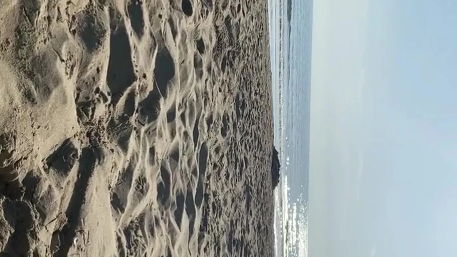 sexy Dripping whore Alex Mucci onlyfans leak pic