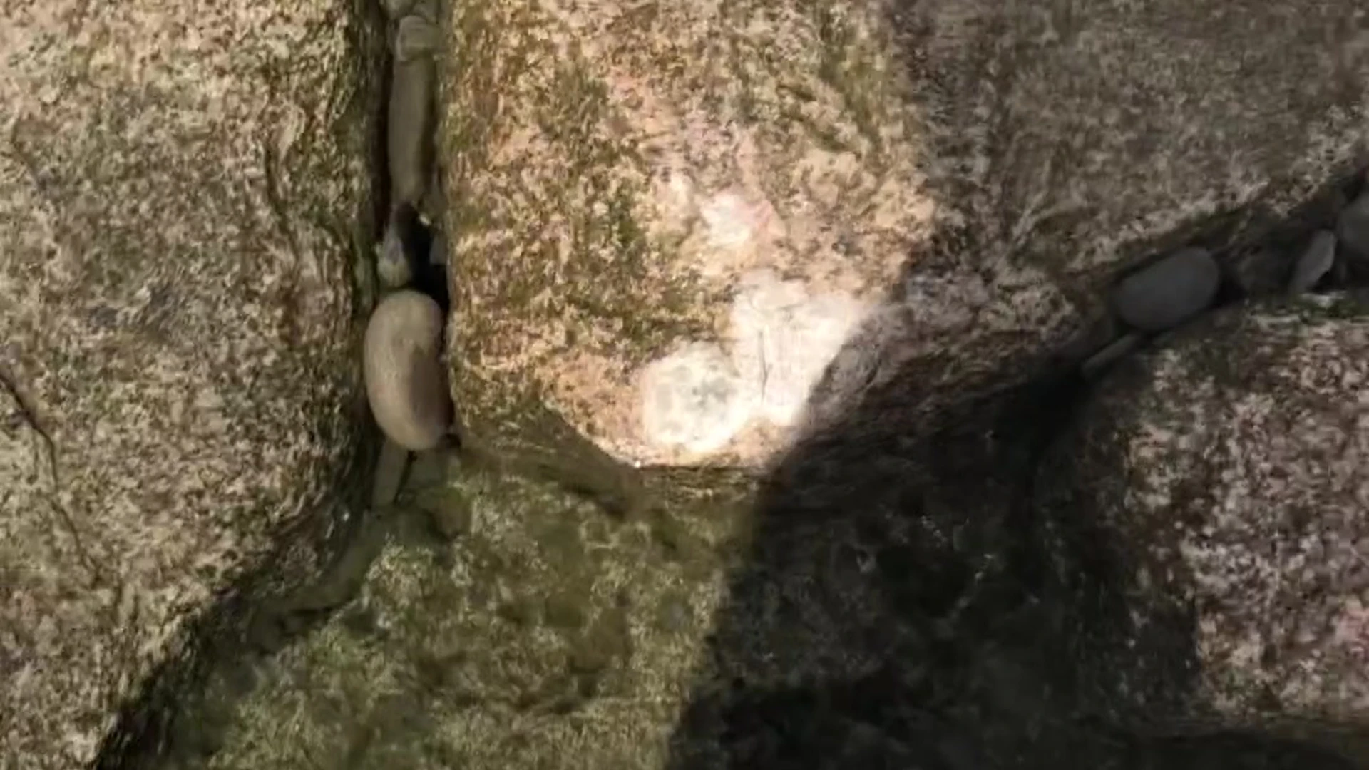 small boobs Eri Kitami sexy PRIVATE