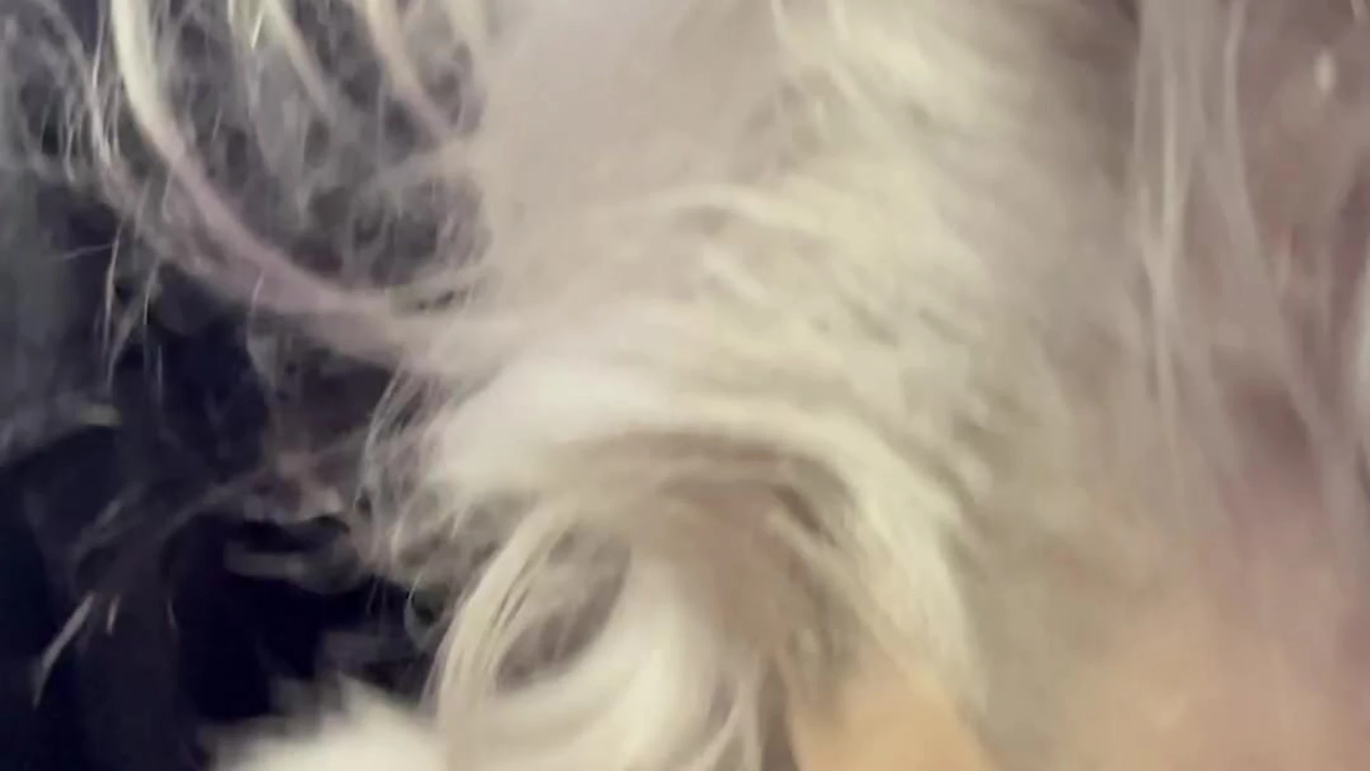 slutty bitch big boobs Whiptrax Fansly leak Epic