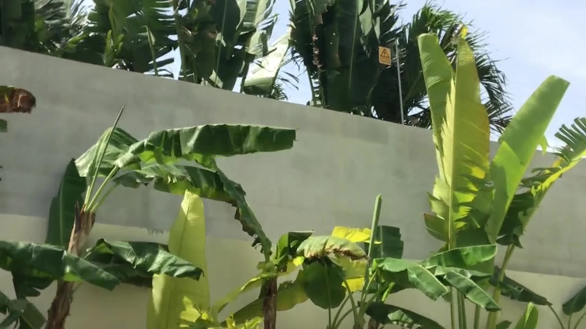 slim Lily Ivy nudes leaked Clip