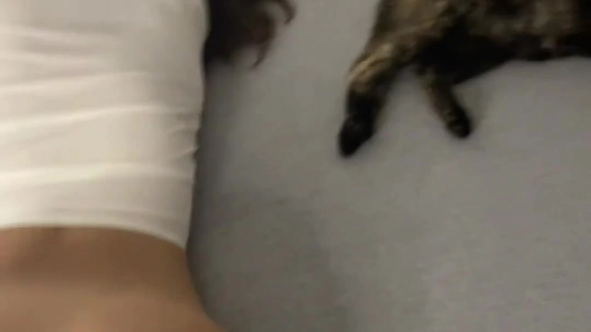 attractive brunette Layla Adeline of leaks Exposed