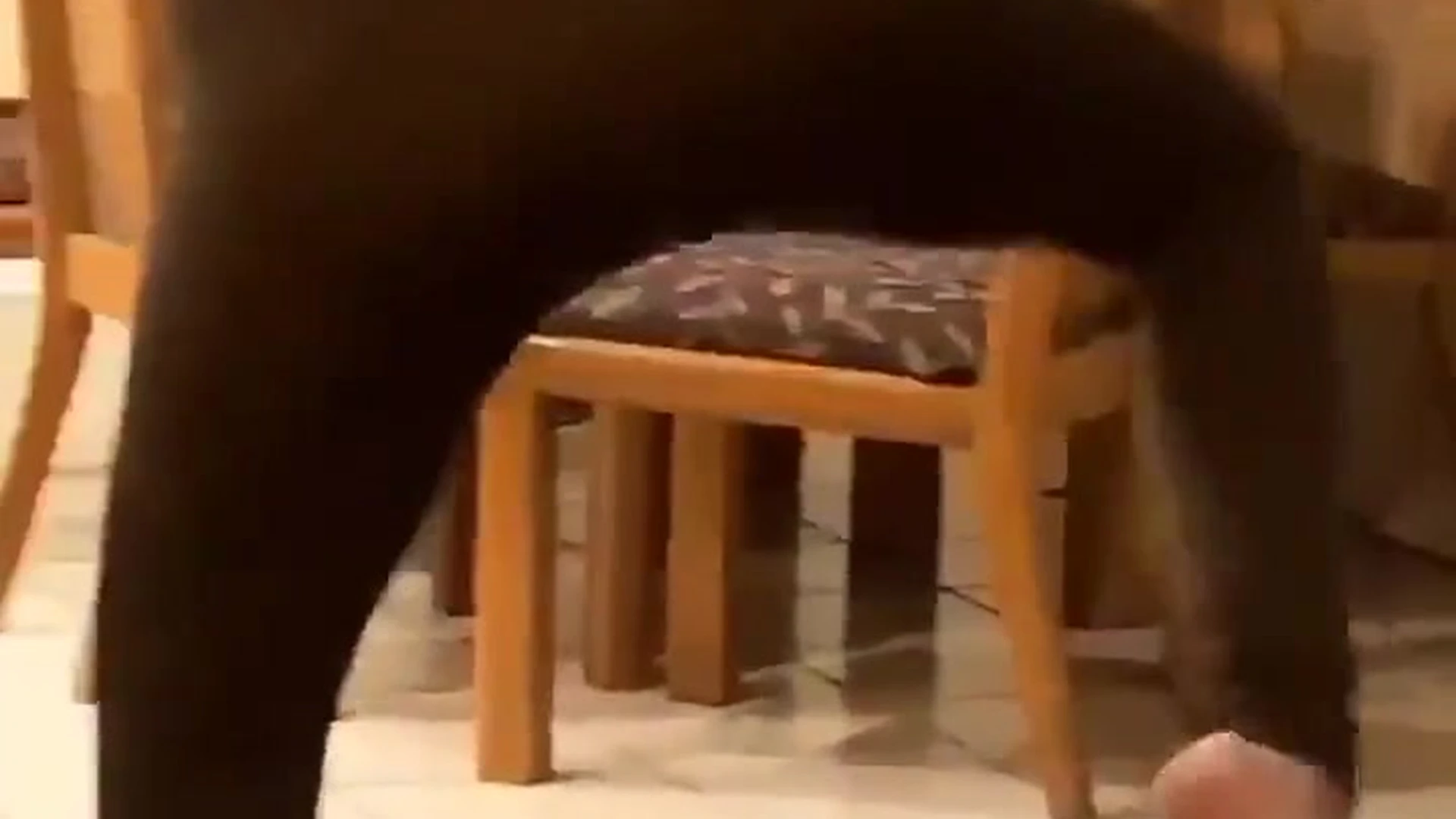 cumslut caucasian aella girl pussy Exclusive vid full Epic