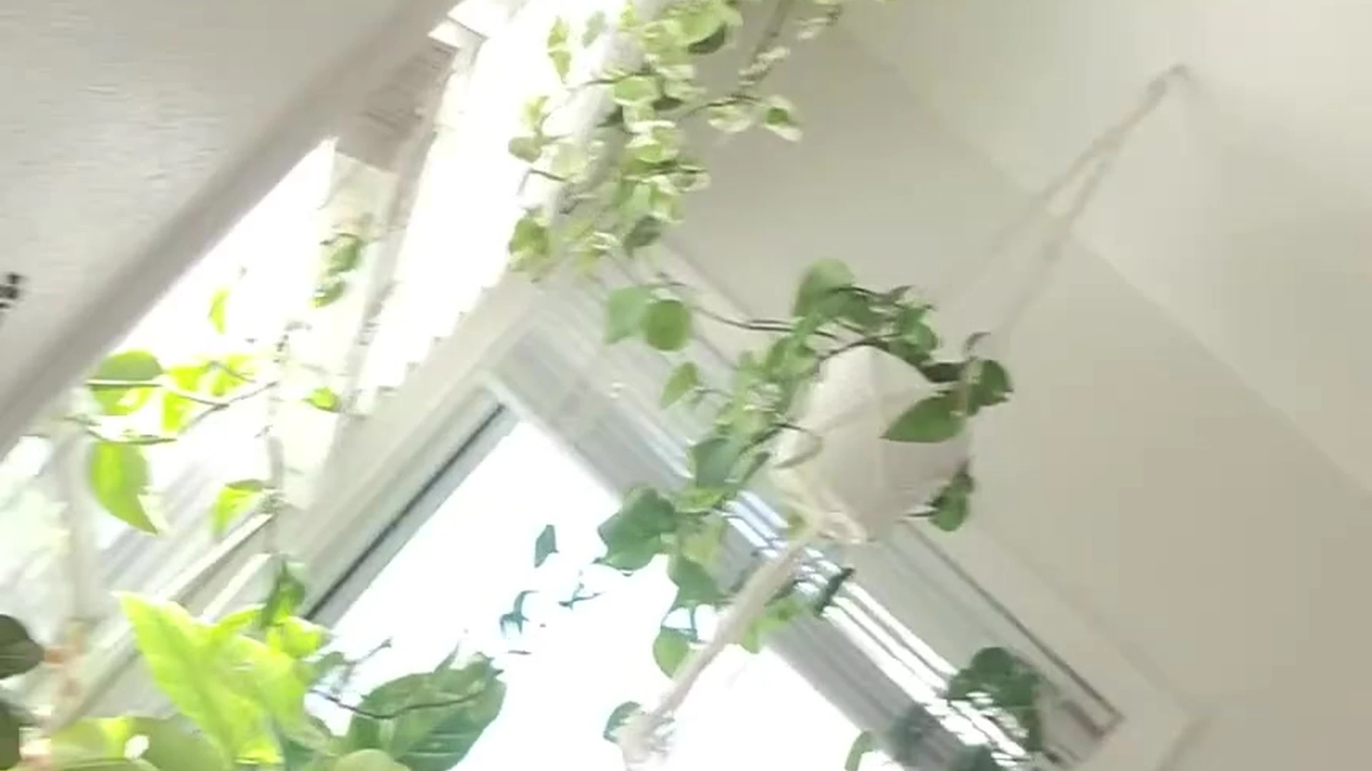 bitch natural boobs aella girl onlyfans leaks pic VIDFULL Epic