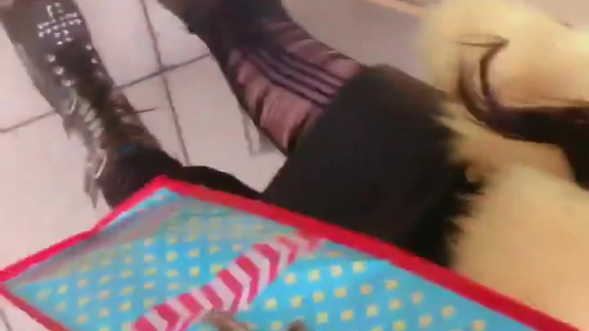 Self-assured sucking small boobs Eri Kitami onlyfans nudes