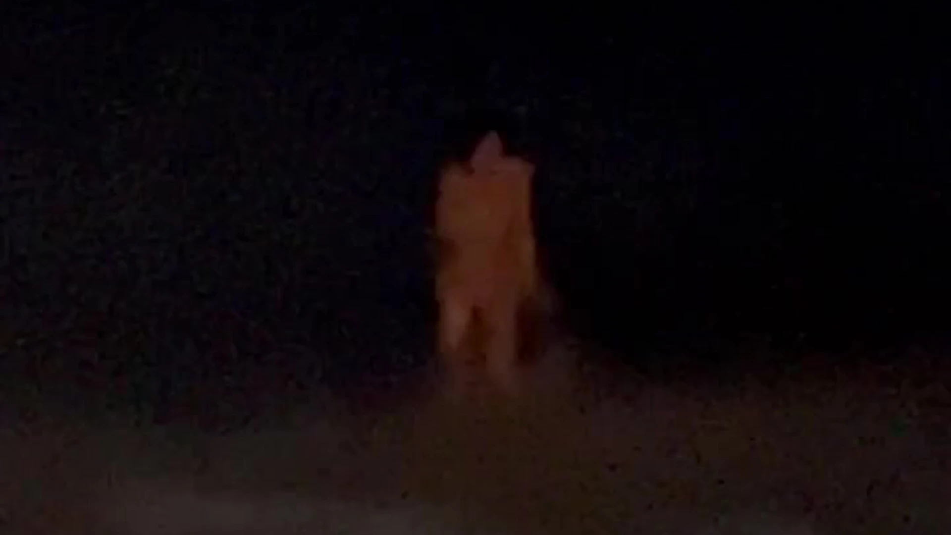 whore Latina playgirlcris leaked nudex private dm video Exposed