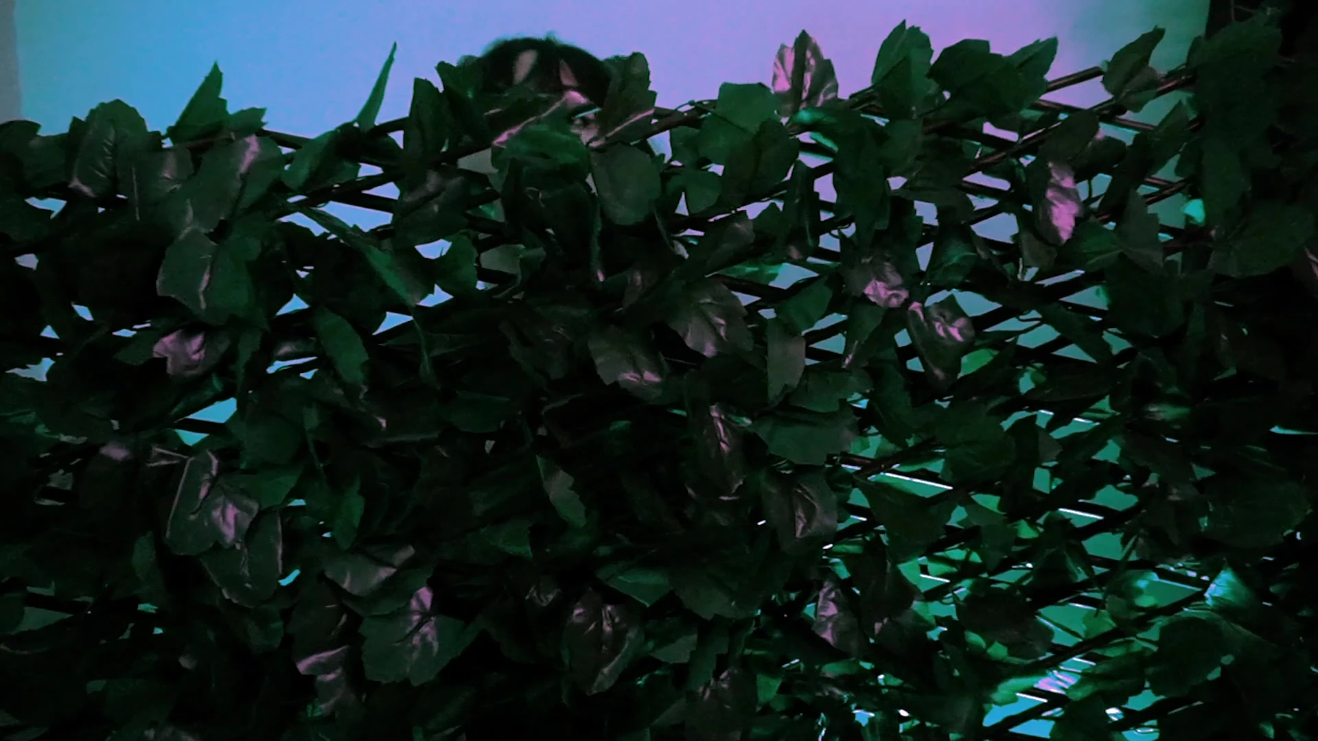 gorgeous babe Mama Fiona nude porn leak Sensational