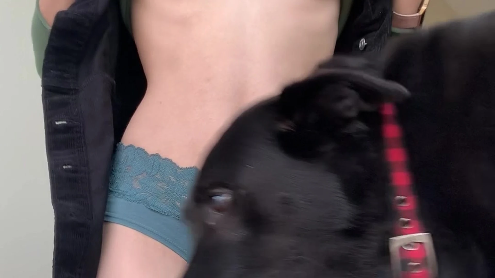 Exposed Dazzling  whore AliceOnCam boobs Full leaked video