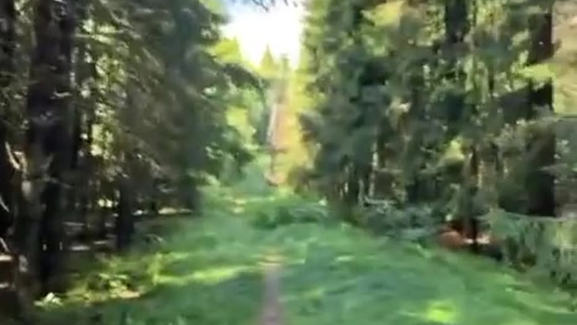 hotie blonde Cheryl Blossom Nude Patreon