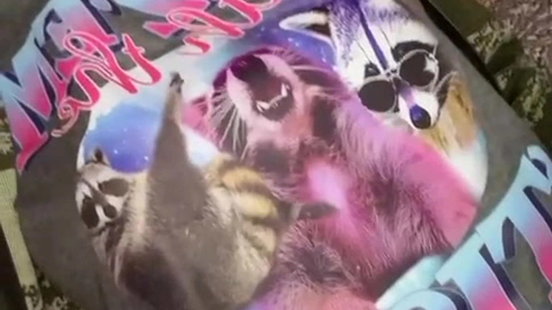 Adventurous  natural boobs Molly Stewart pics porn Sensational