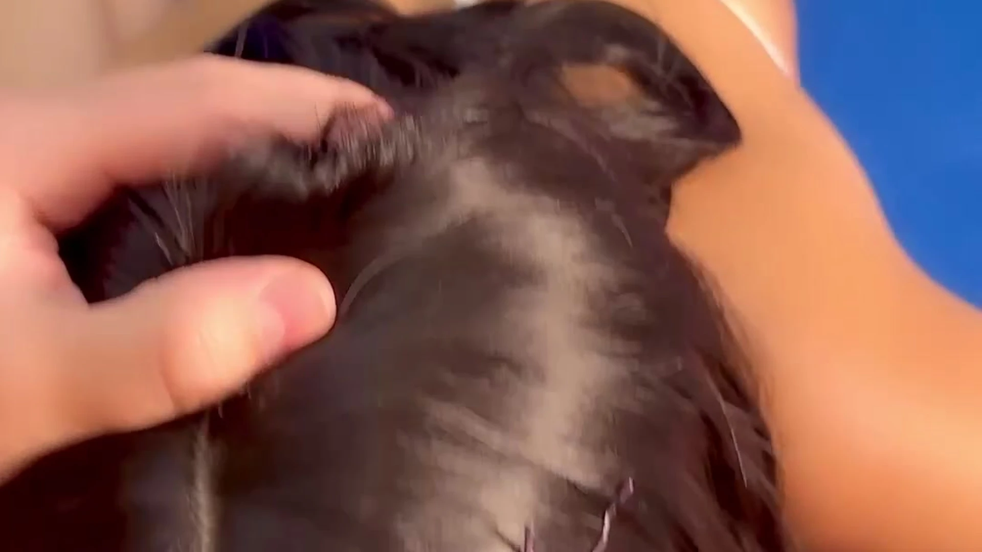 teen small tits Layla Adeline nude porn leak Exclusive vid full