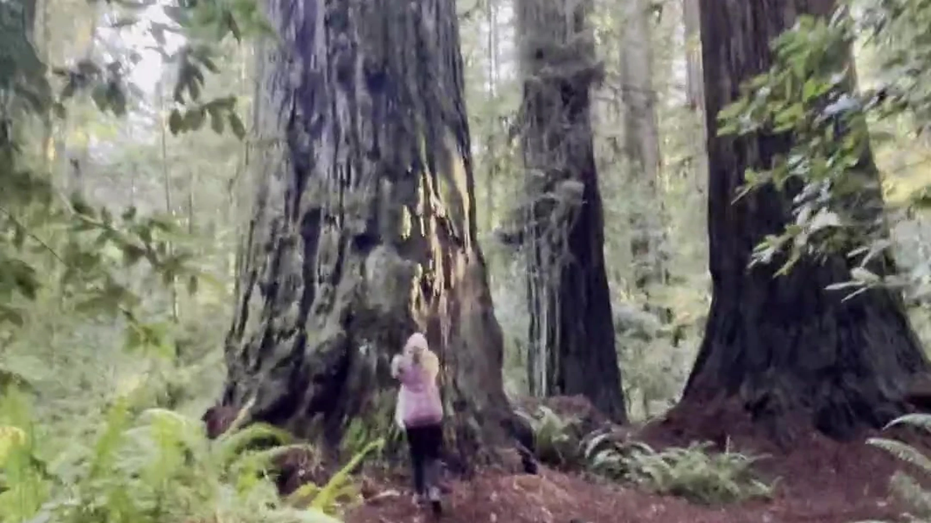 EPIC slim Lily Ivy porn xxx