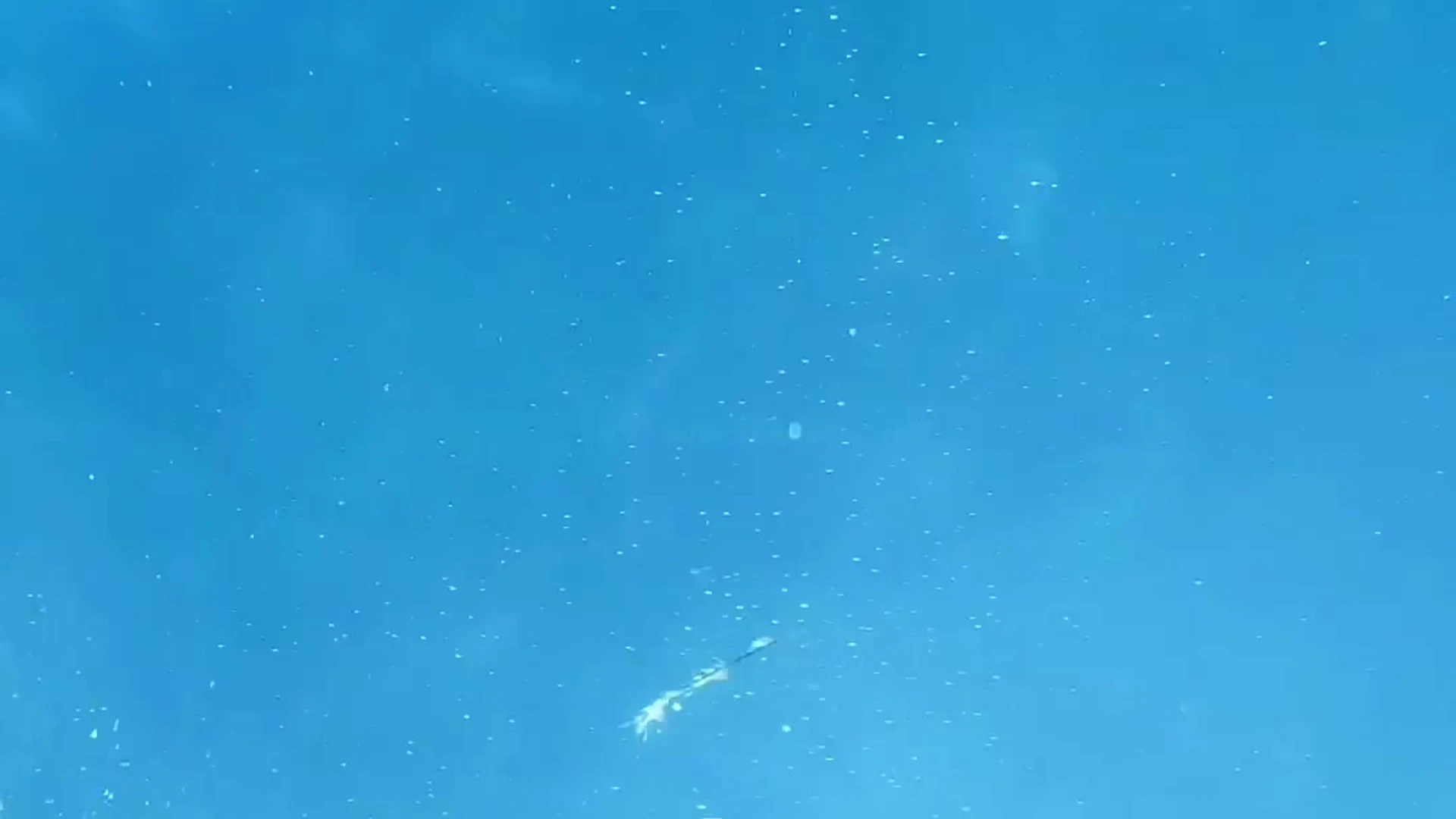 Sensational cum dumpster small boobies Nicole Block sex tape Exclusive full vid