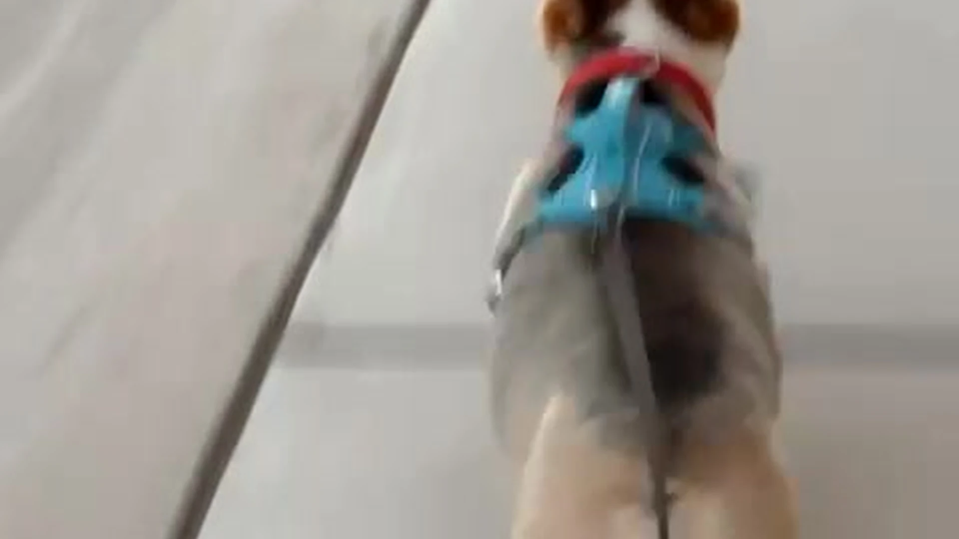 Sensational attractive slim Molly Stewart nudes leaked