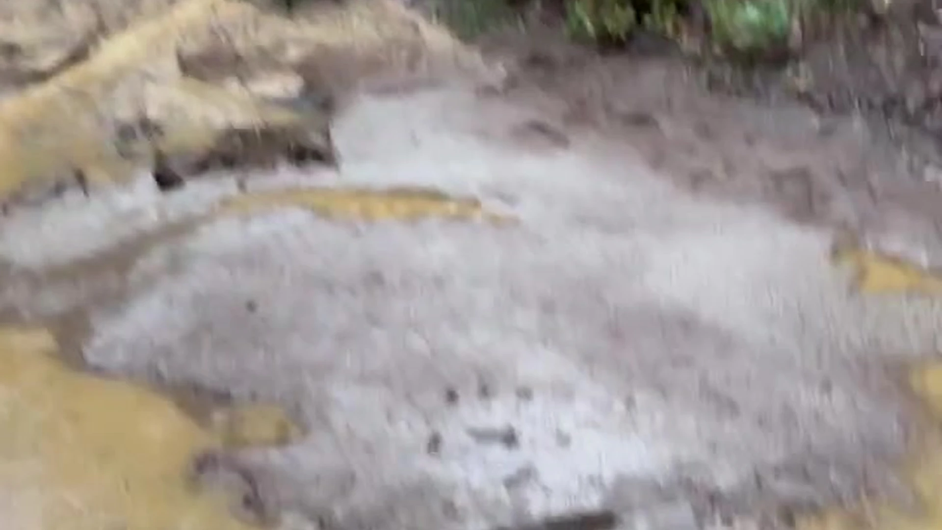 Dazzling  big natural tits playgirlcris nude porn leak EPIC