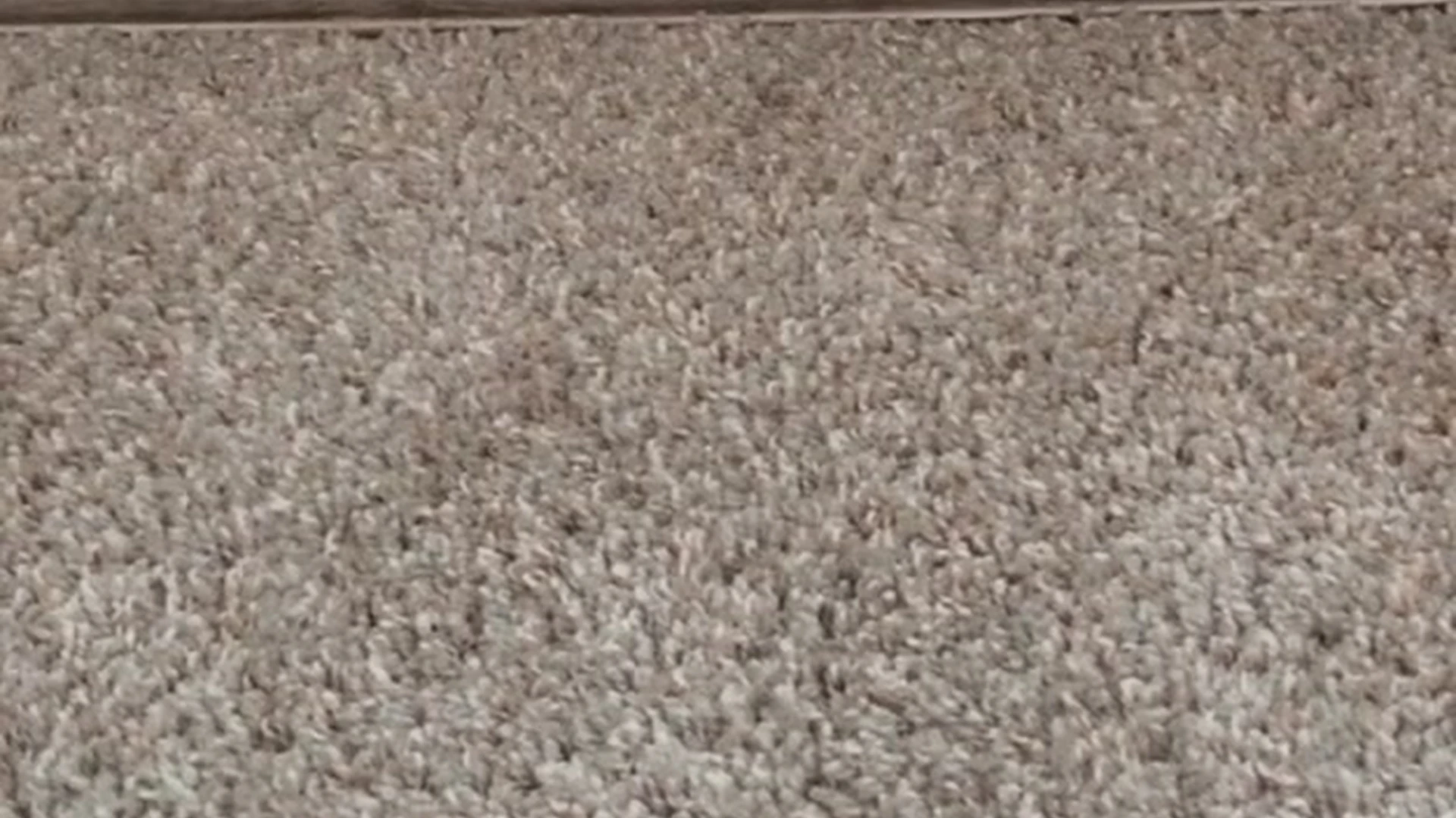 Motivated big ass Whiptrax leaks OF Full Movie