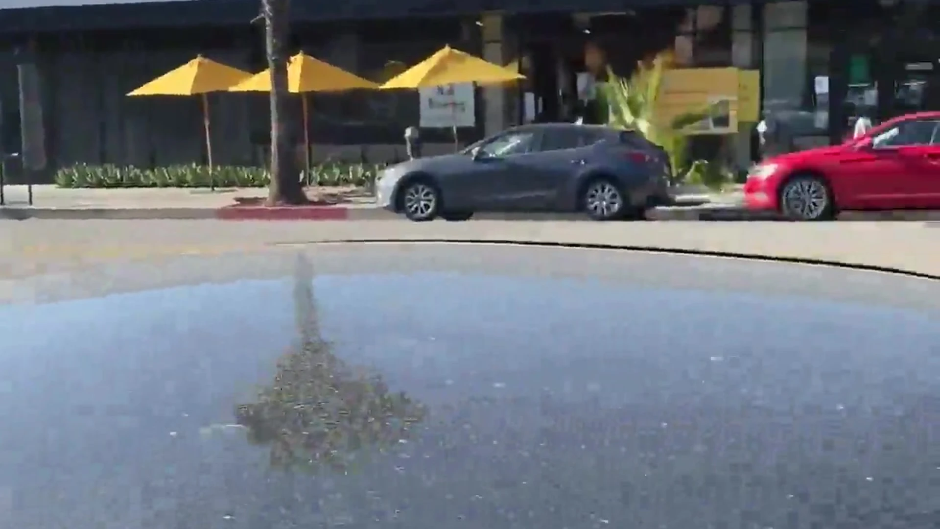 cum dumpster huge boobs Viking Barbie XXX Exposed