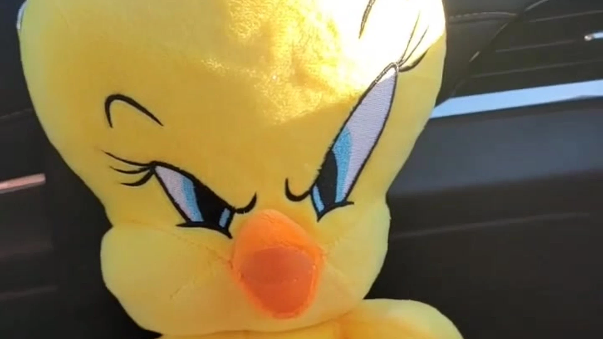 Exposed sexy slut Abigaiil Morris Nude leak OF