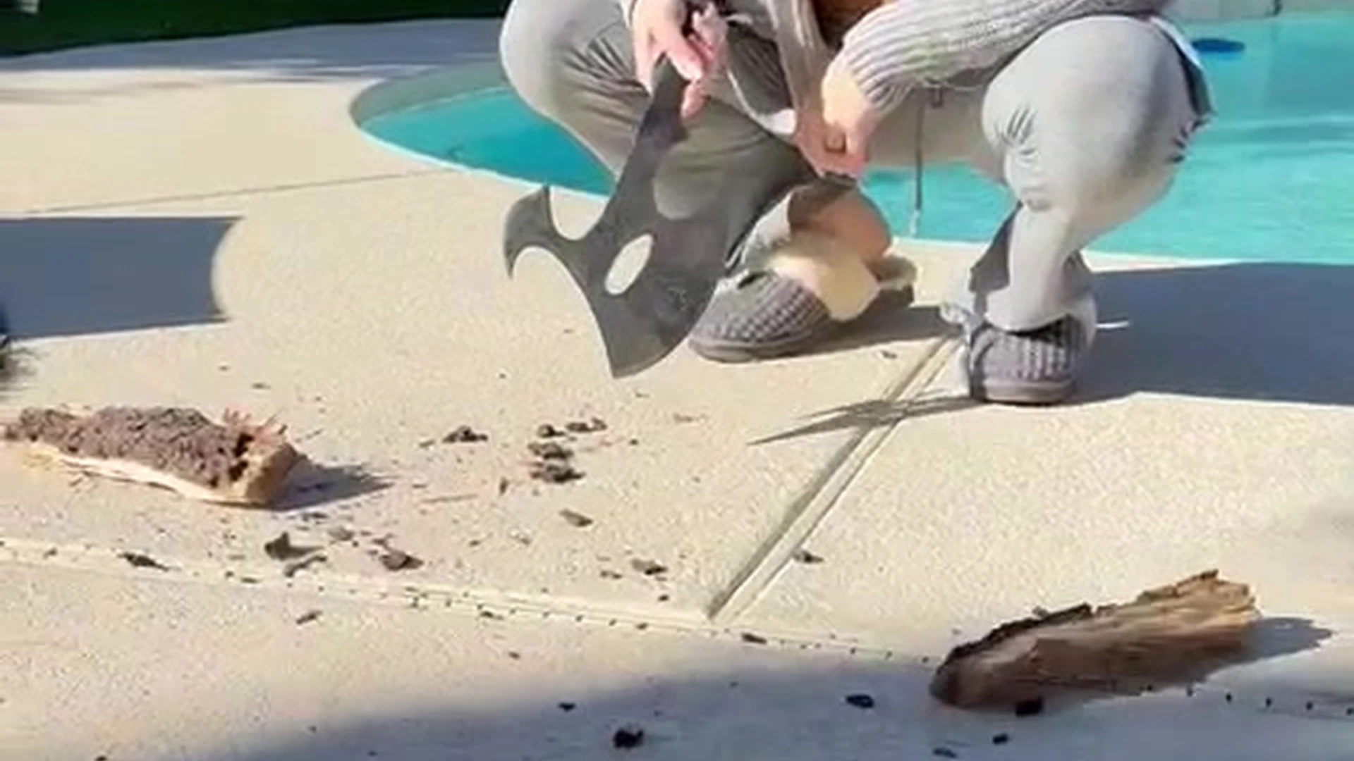 Magnetic  caucasian Molly Stewart Leaked OF EXCLUSIVE VIDEO