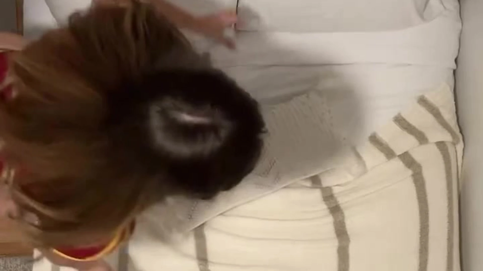 egirl Brunette sal munoz leaked onlyfans pic EXPOSED