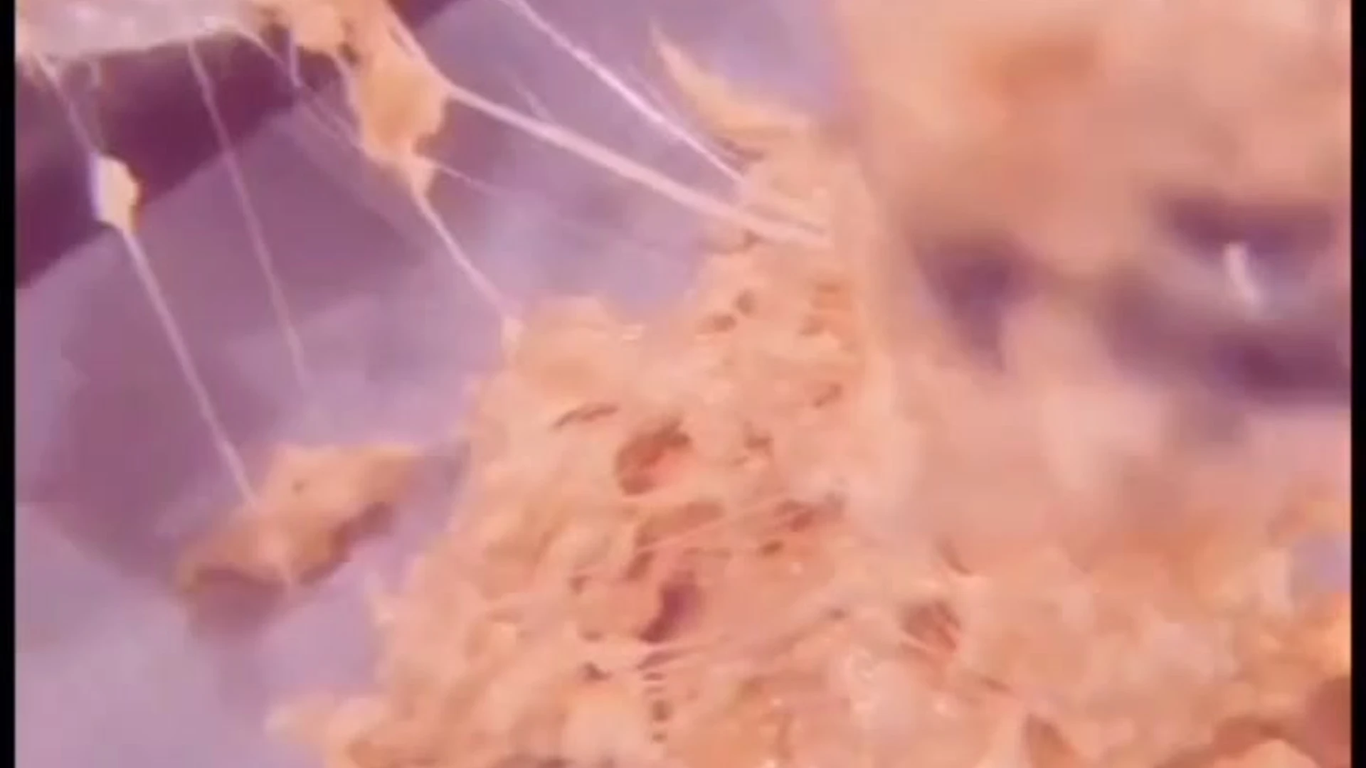 hot girl Cam girl AliceOnCam tits Epic