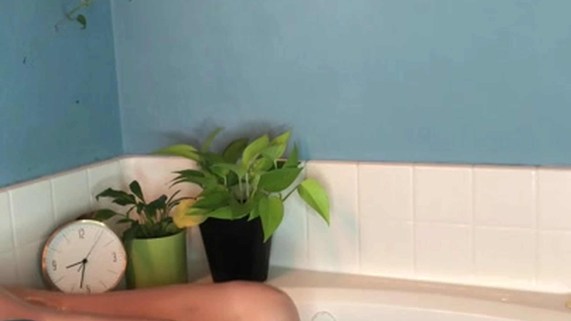 Babe big ass Nicole Aniston boobs video full