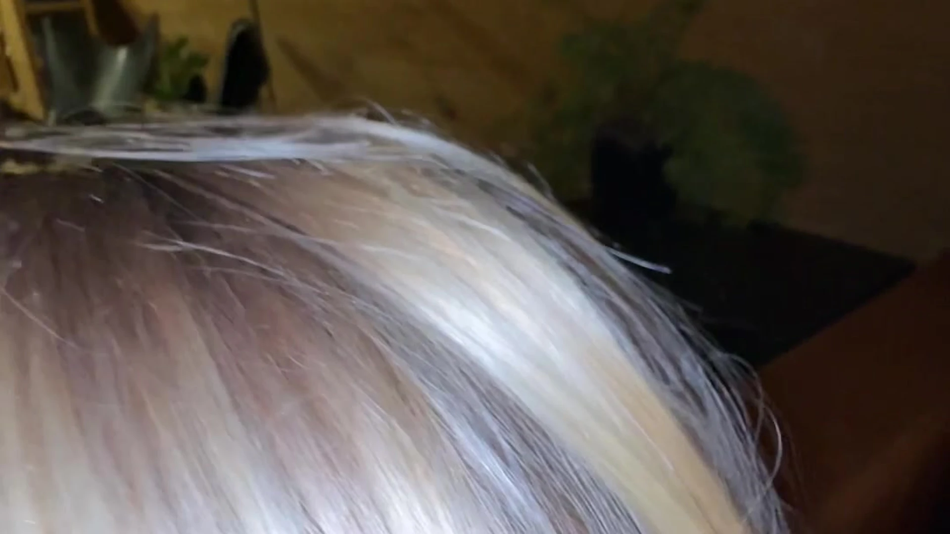 Sensational small butt ellaalexandraxo Nude onlyfans