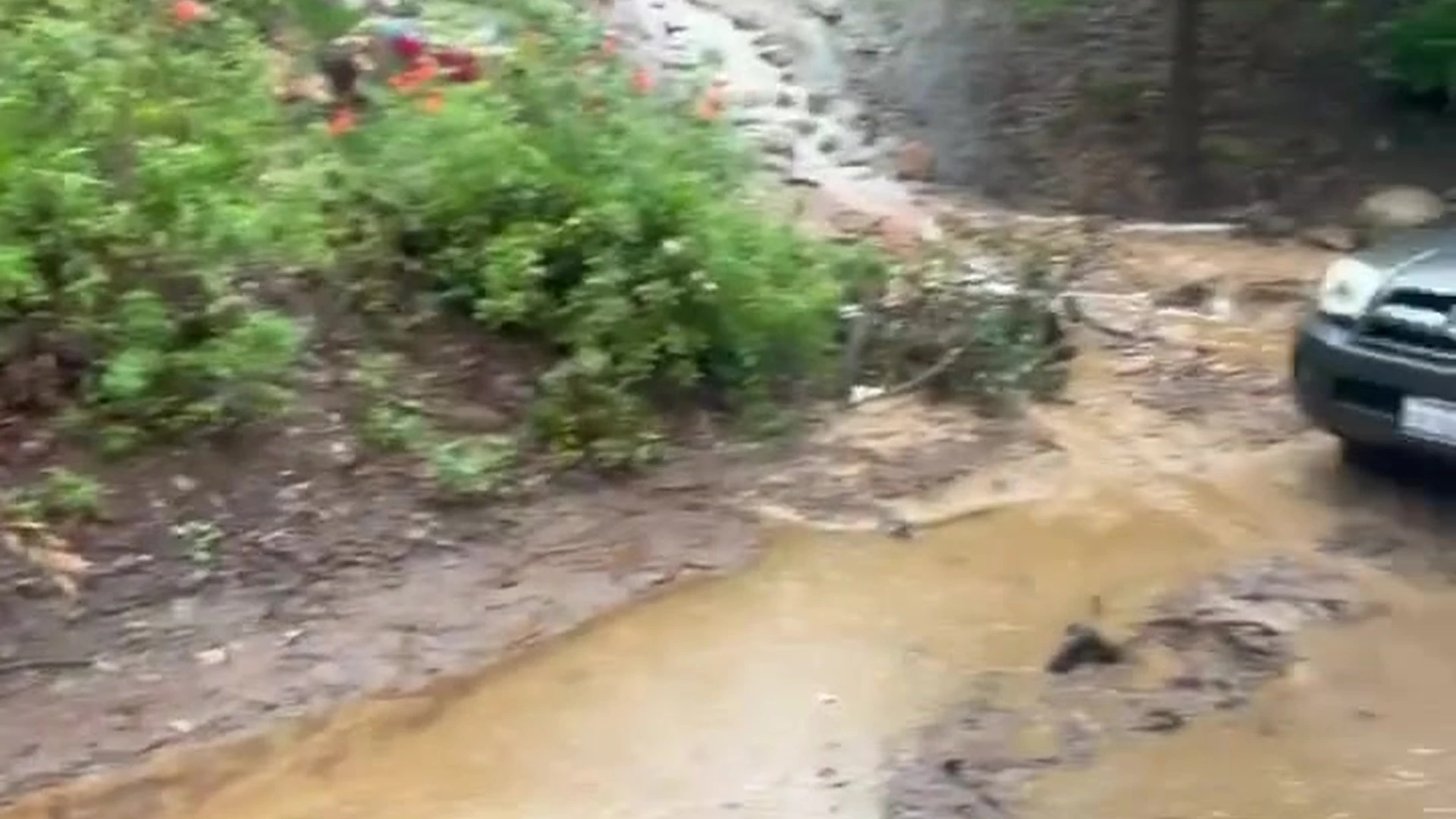 Exposed Benevolent big natural tits playgirlcris bj