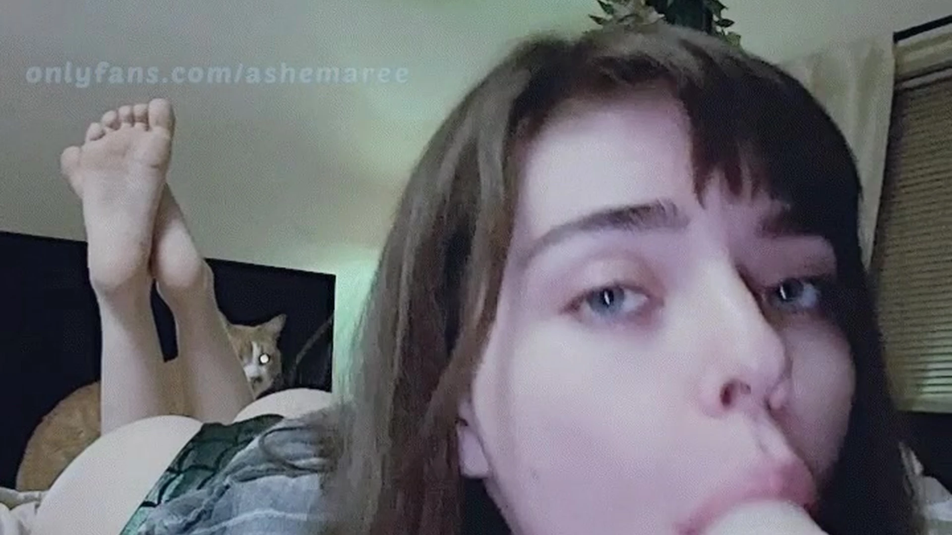 petite Ashe Maree onlyfans Exposed