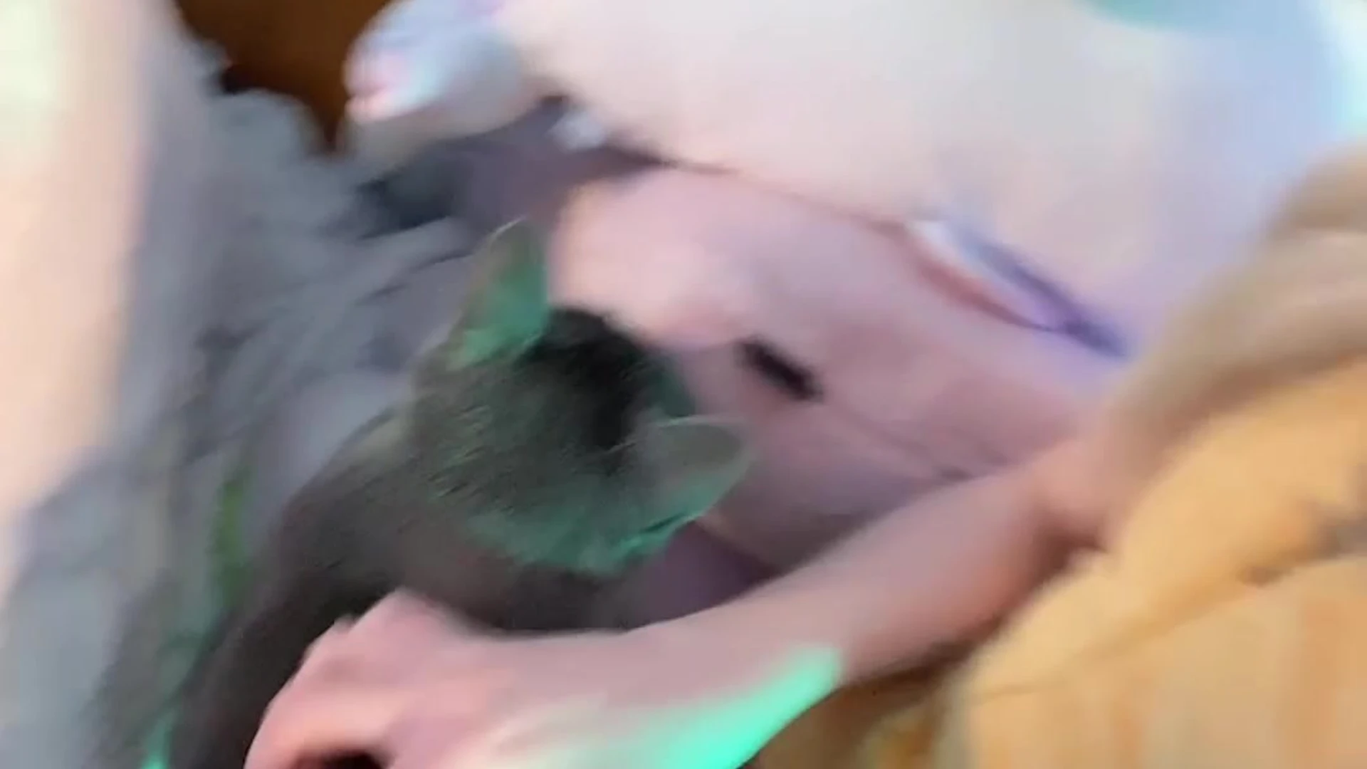 small tits notmeggii Nudes leak Exposed