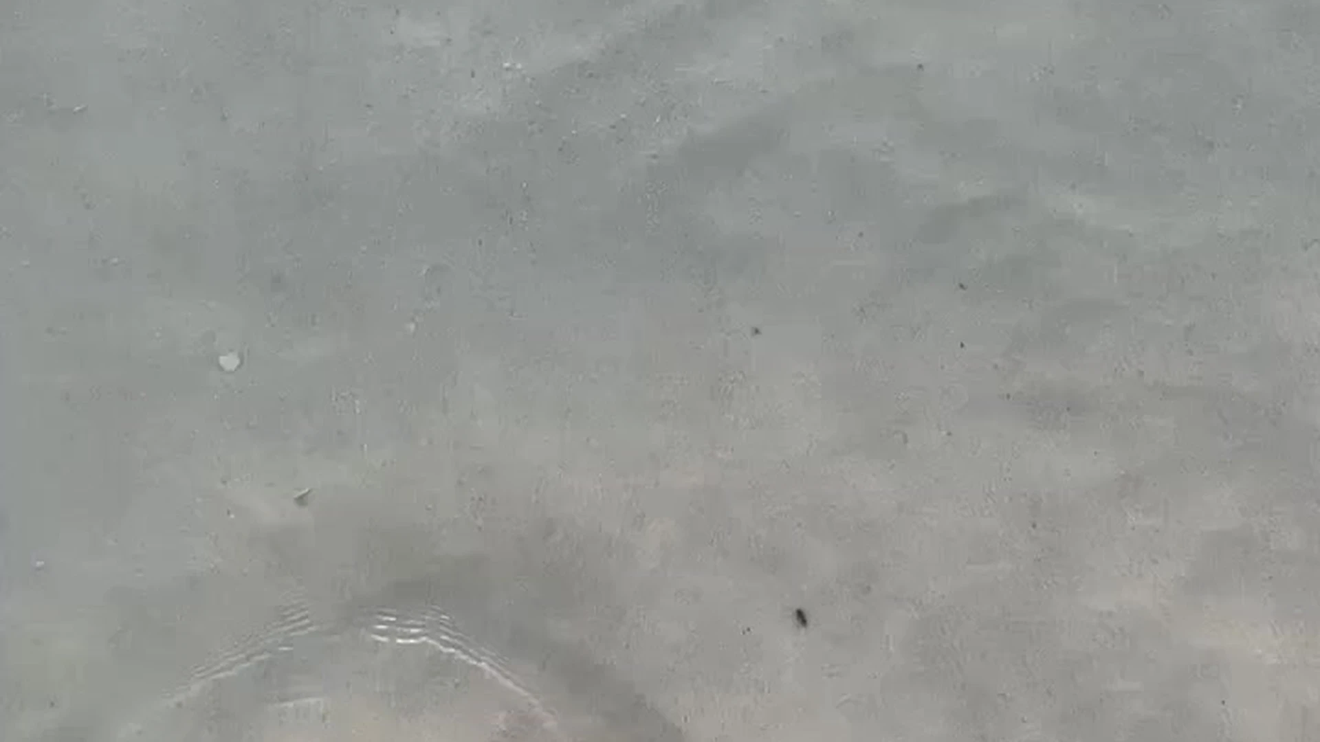 Shrewd Dripping Canadian Alysha Newman onlyfans leak pic