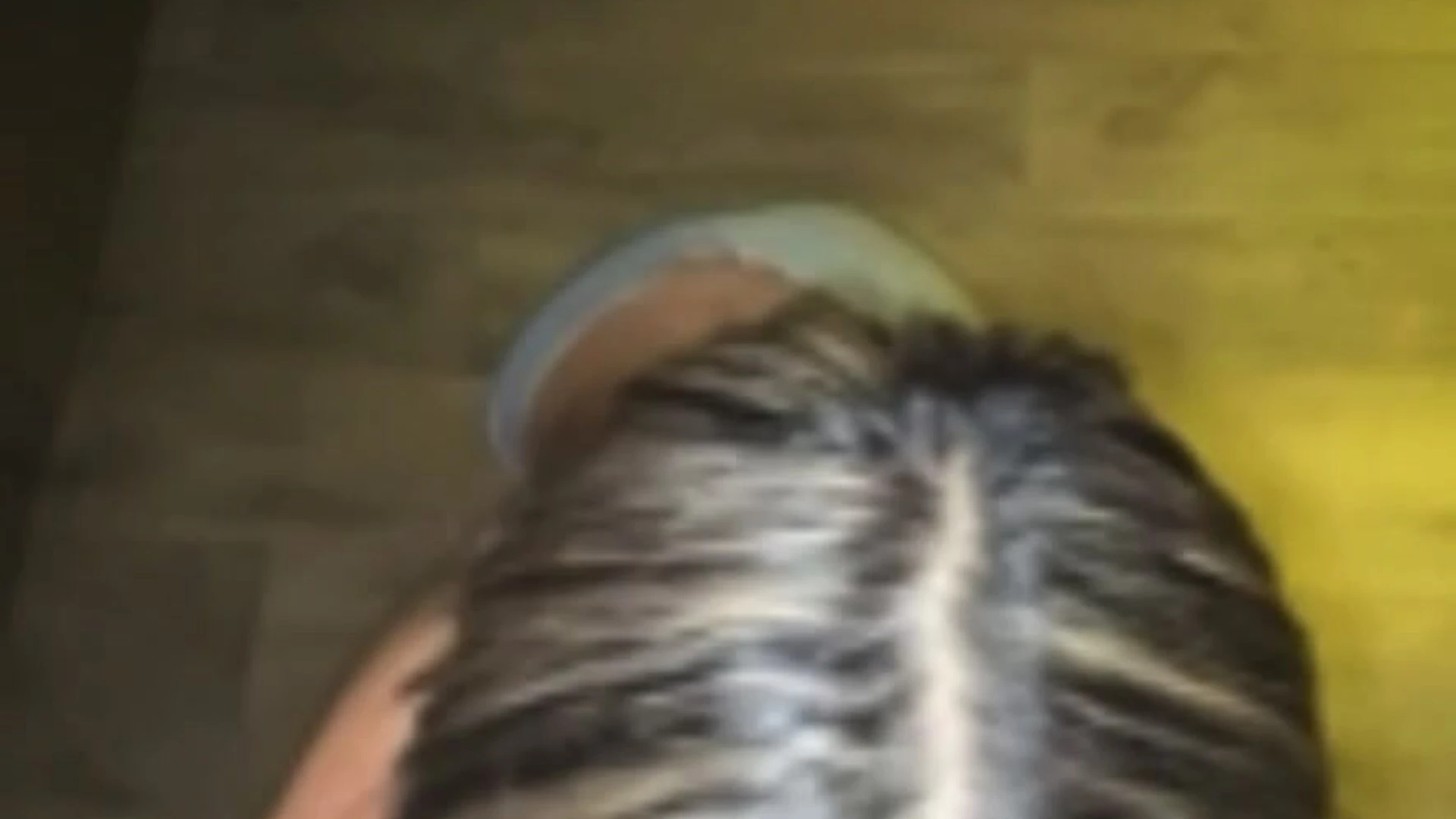 Considerate caucasian that1iggirl Onlyfans leaked Exposed