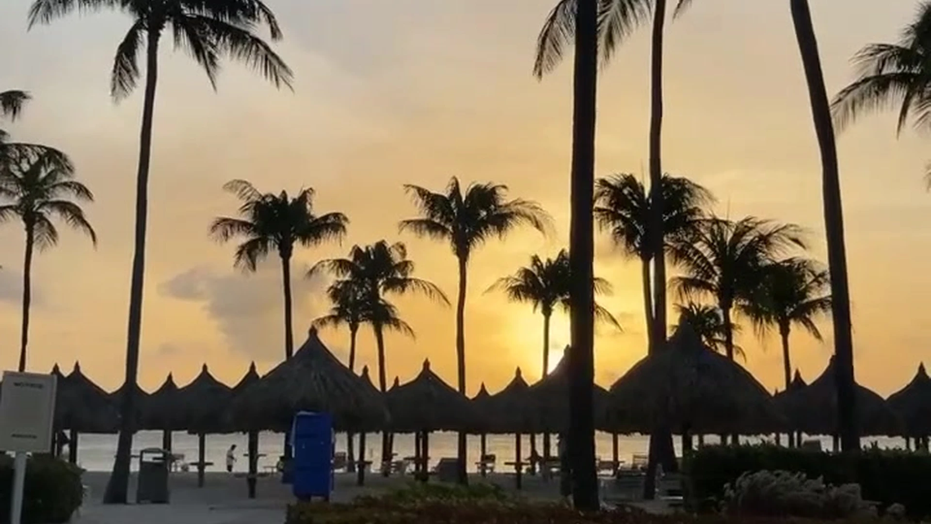 whore sucking Canadian Alysha Newman Nude Leaked