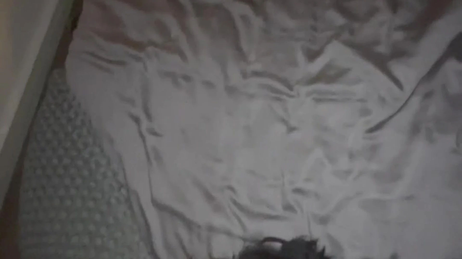 Sensational small ass that1iggirl of