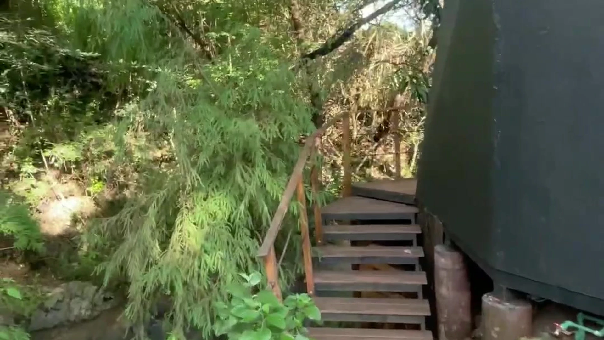 Persistent Dripping big tits emyii thothub