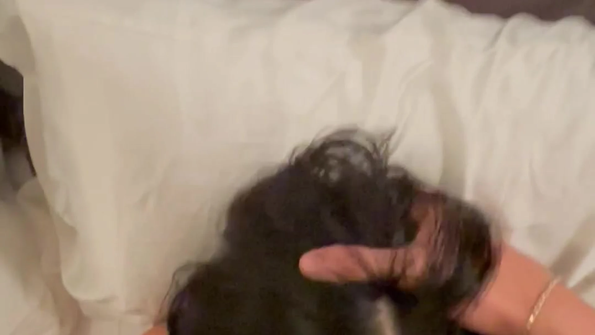 slut that1iggirl collab