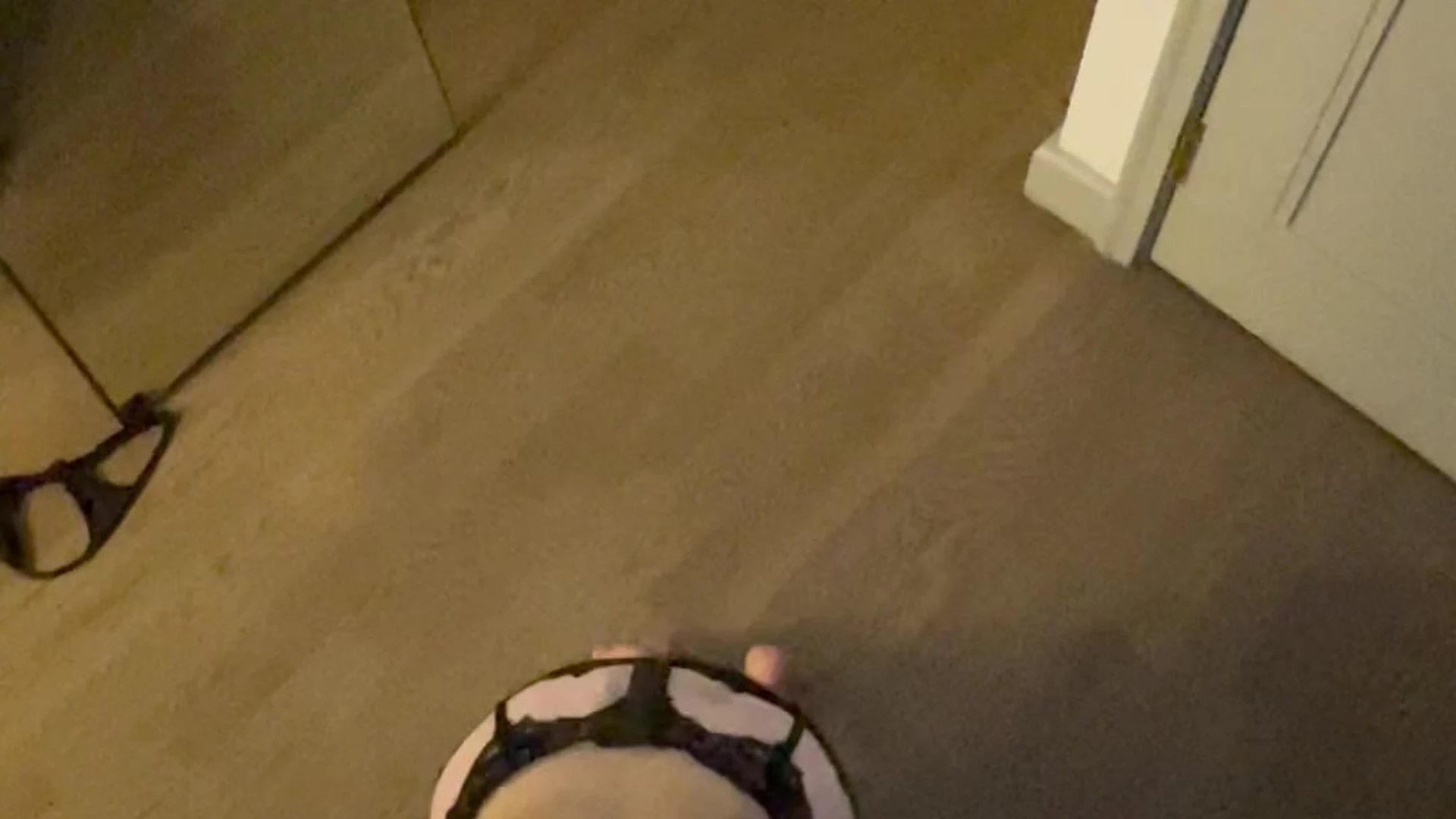 slut that1iggirl onlyfan Sensational