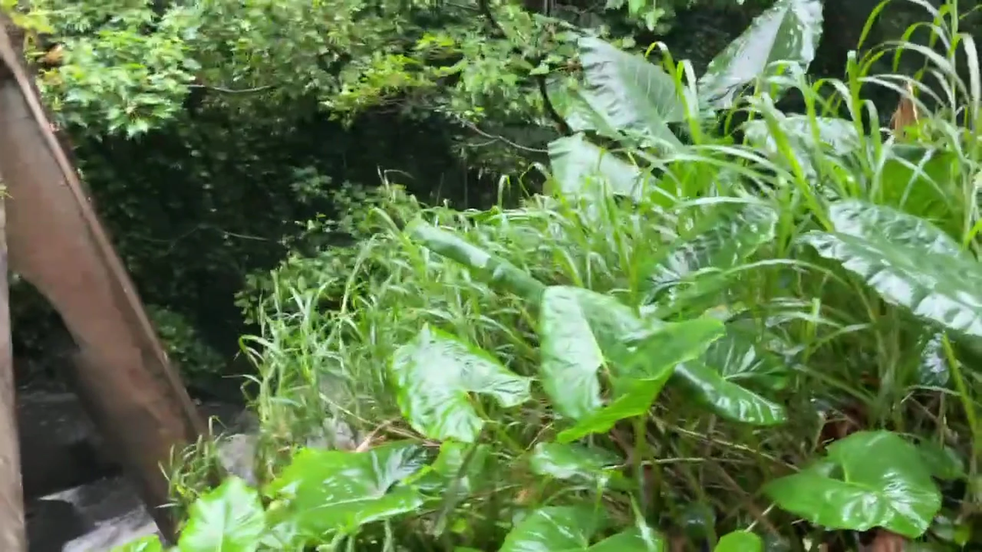 OF GIRL American Kenzie Taylor onlyfans leaked pics Leaked full video