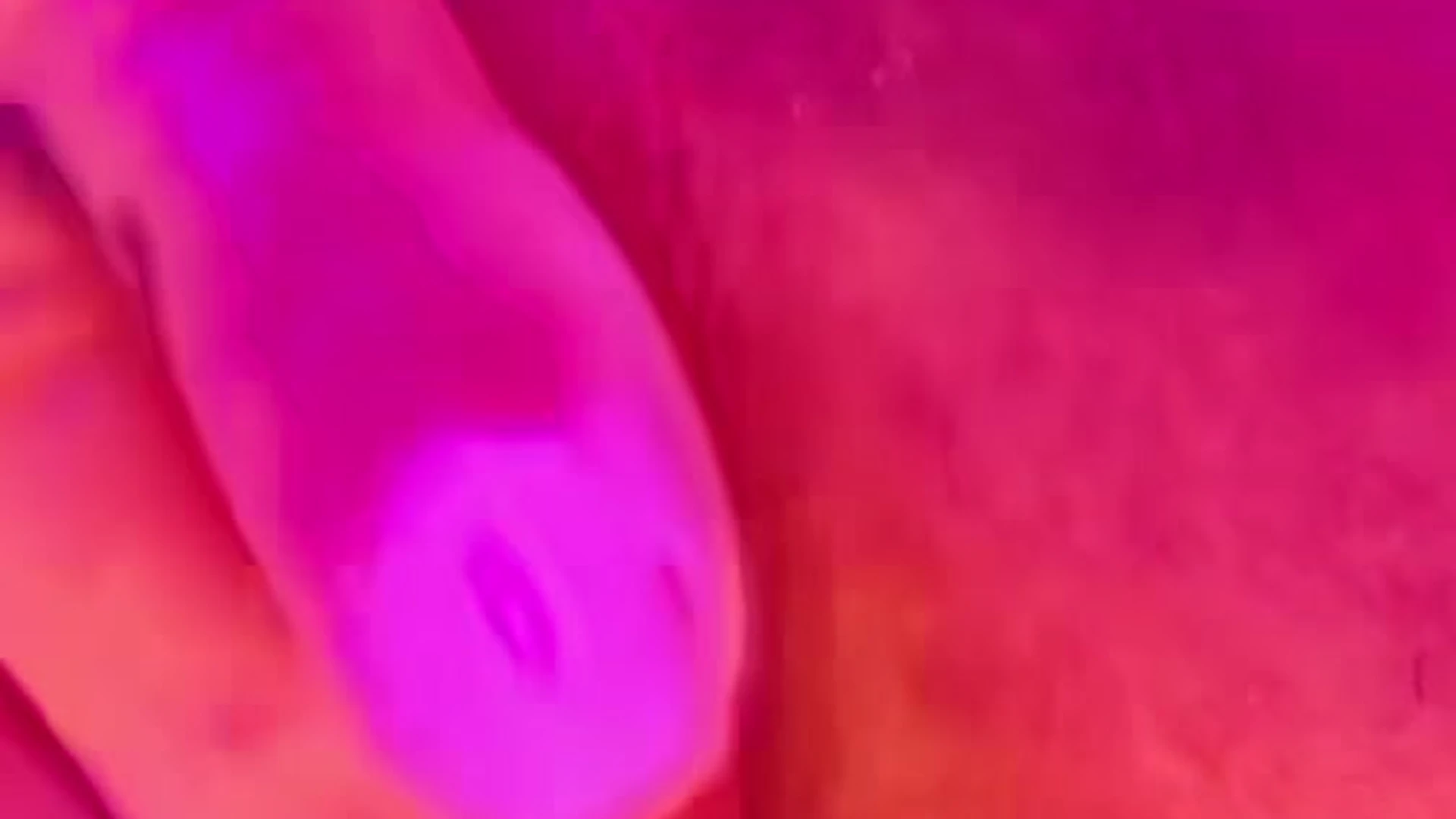 maneater athletic Christie Brimberry leaked only fans Exclusive vid full