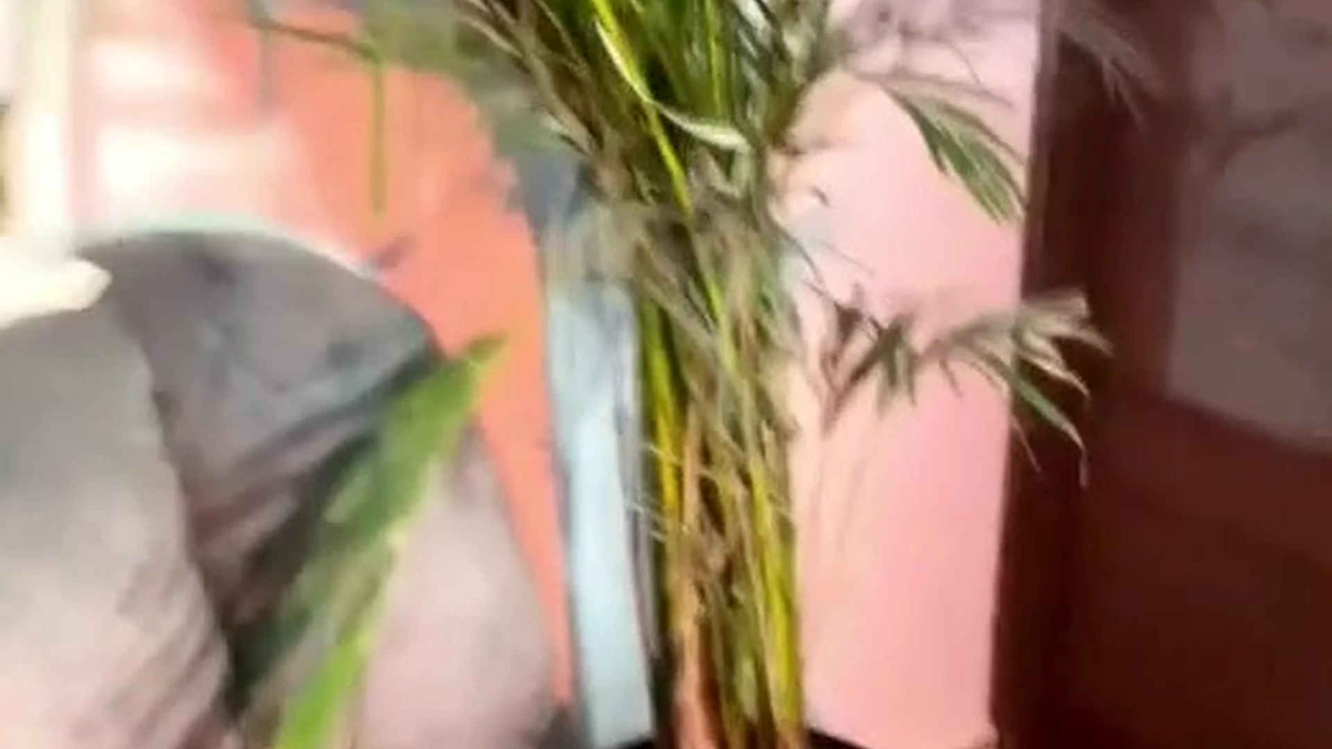 Affectionate Dripping Latina Maria Del Mar sexy onlyfans leak