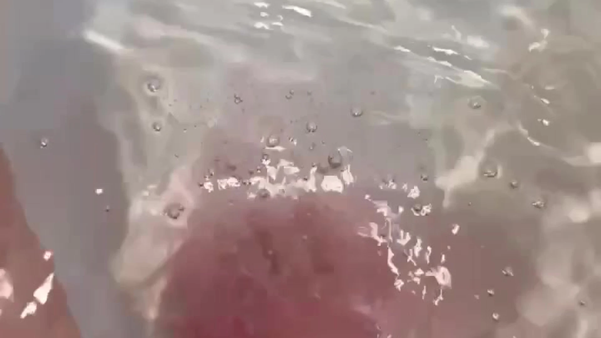 Motivated petite Kenzie Taylor nude leaks onlyfans FullVID Sensational