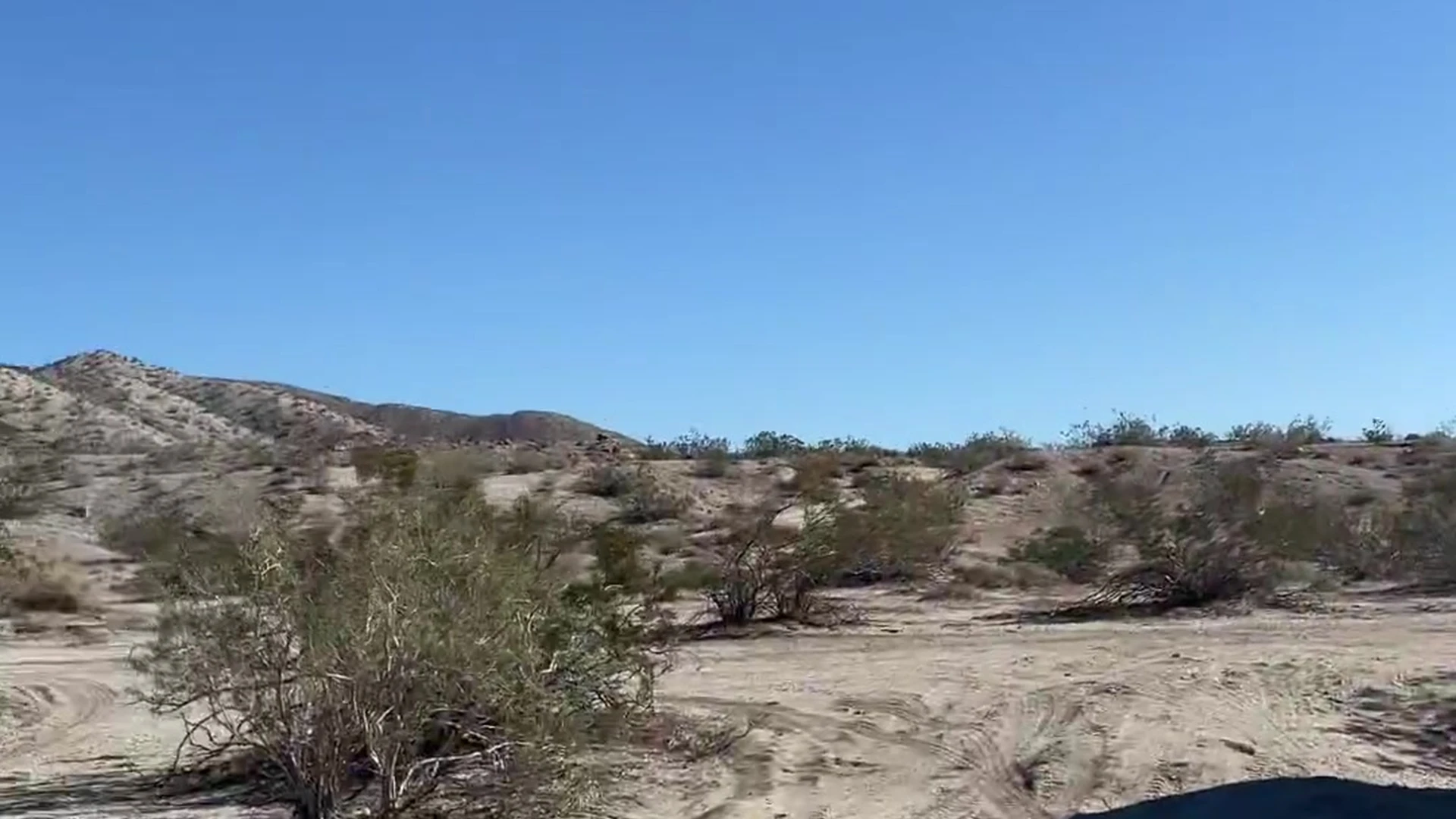 EPIC caucasian that1iggirl sexy