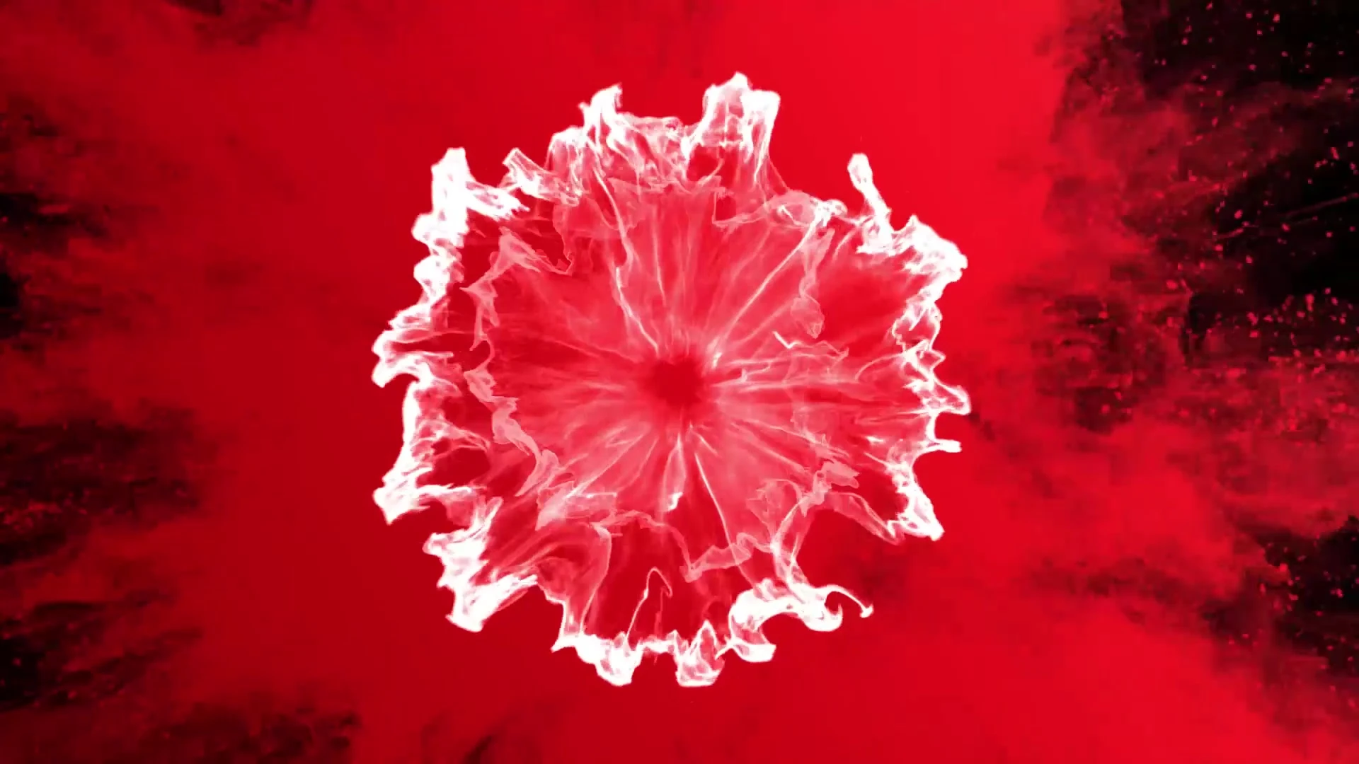 Indonesian Putri Cinta leaked onlyfans Exclusive full video