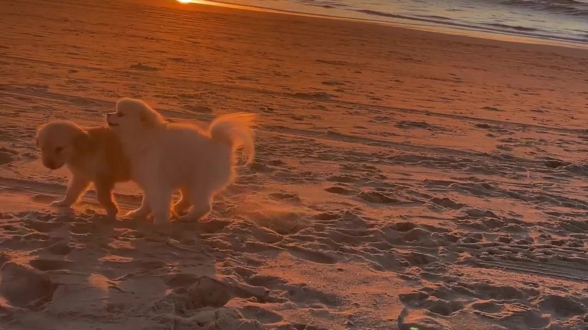 EPIC small ass Hannah Palmer nude porn leak