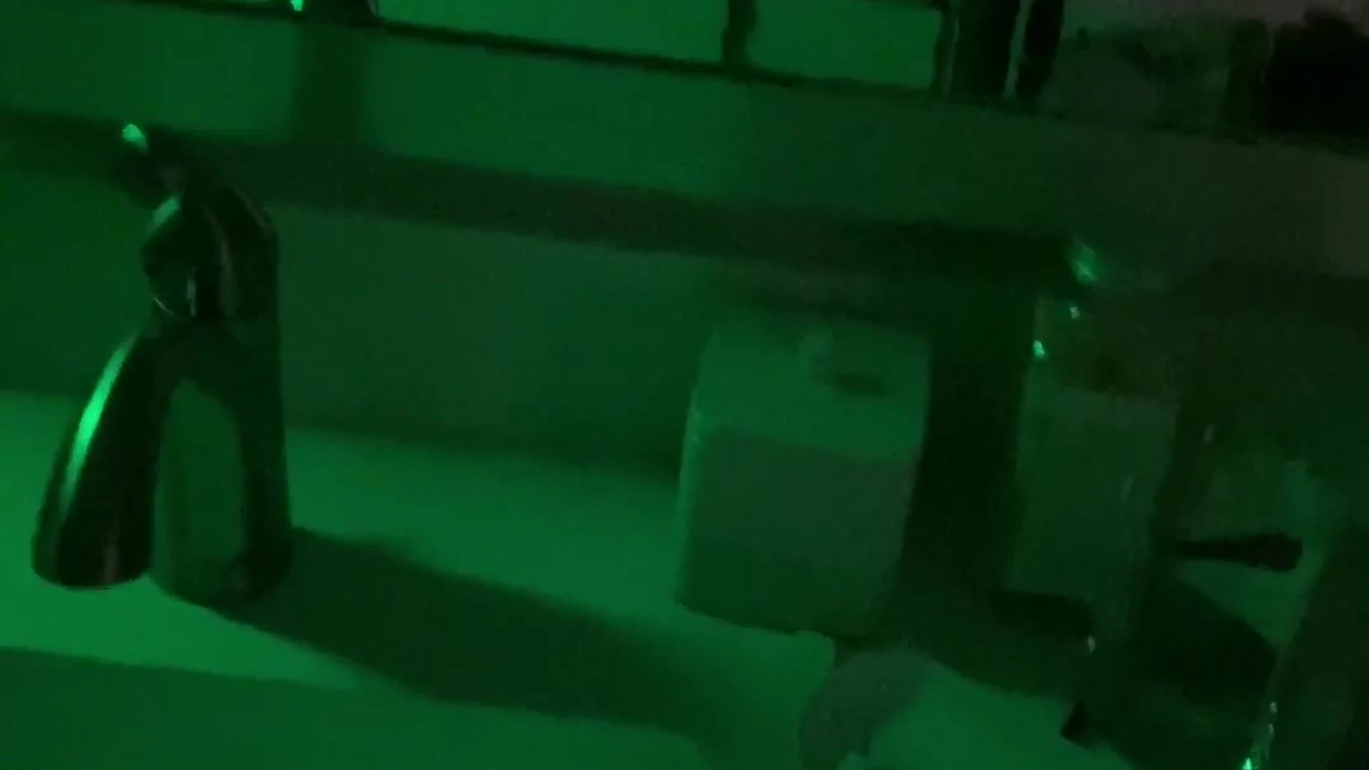 Amicable MILF Lexi Luna face